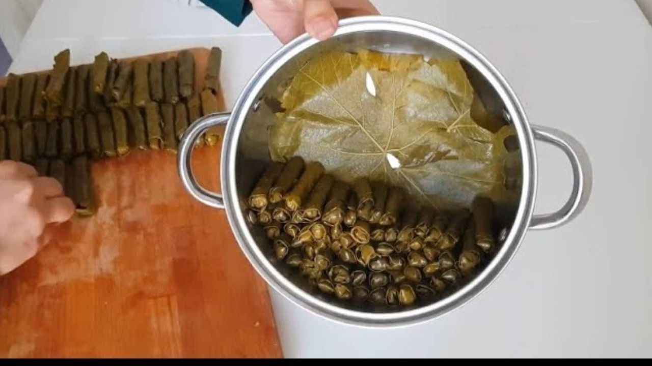 dolma 2