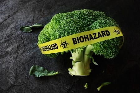 Vegan Beslenme Sağlığa Zararlı mı (2) Vegan Beslenme Sağlığa Zararlı mı (2)